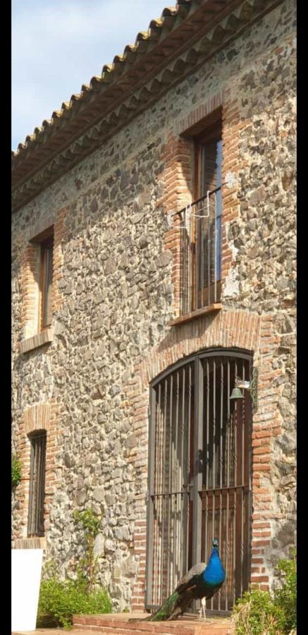 Villa Del Remei Vidreres Exterior photo